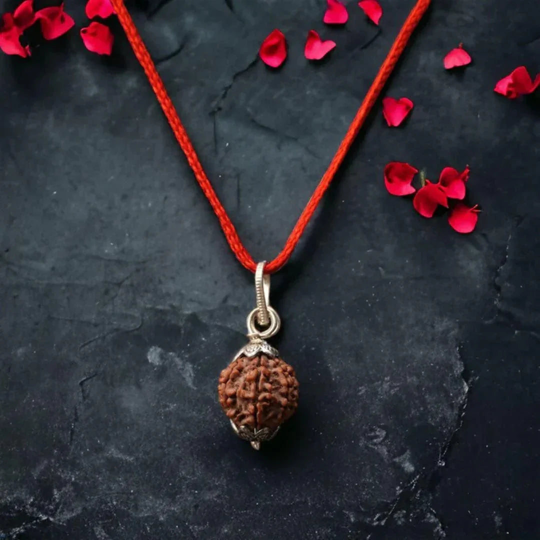 Genuine 7 Mukhi Nepal Rudraksha – Powerful Spiritual Remedy
