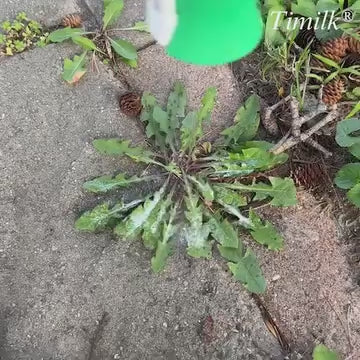 Dual-Action Weed Killer - Max Power Herbicide (Pack of 2)